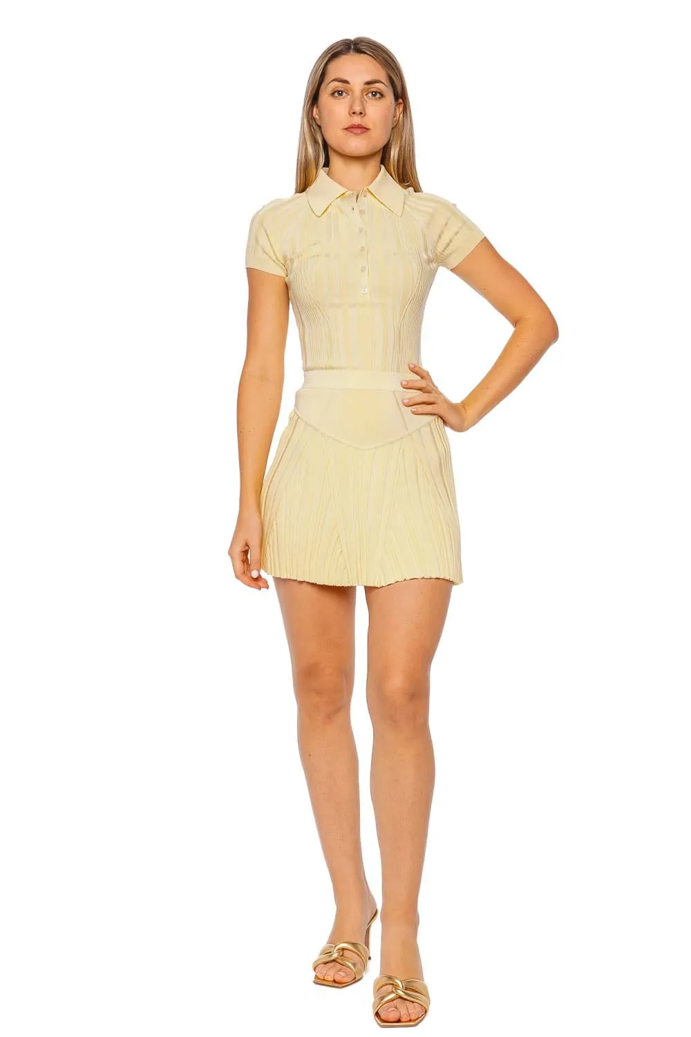 Ribbed Knit Flared Mini Skirt
