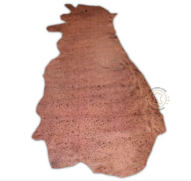 Sea Life Embossed Leather Tan Brown : Leather 3 - 3.5 oz. | 1.4 - 1.6 mm - Leather for Projects - Seahorses, star, shell