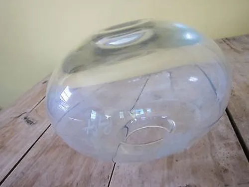 Signed Perry Coyle Crystal Glass Vase "Rainbird Spirit"