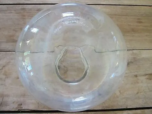 Signed Perry Coyle Crystal Glass Vase "Rainbird Spirit"