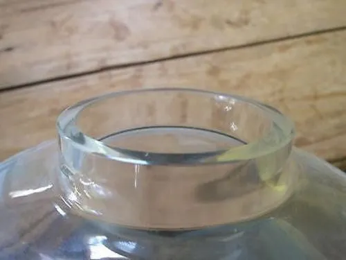 Signed Perry Coyle Crystal Glass Vase "Rainbird Spirit"