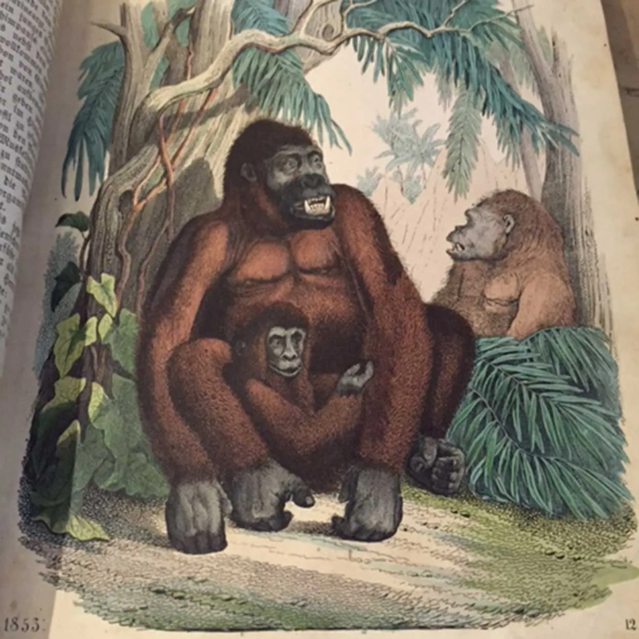 Two German Books: Das Buch der Welt 1852, 1853